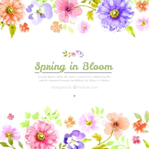 626x626 Vector Flowers