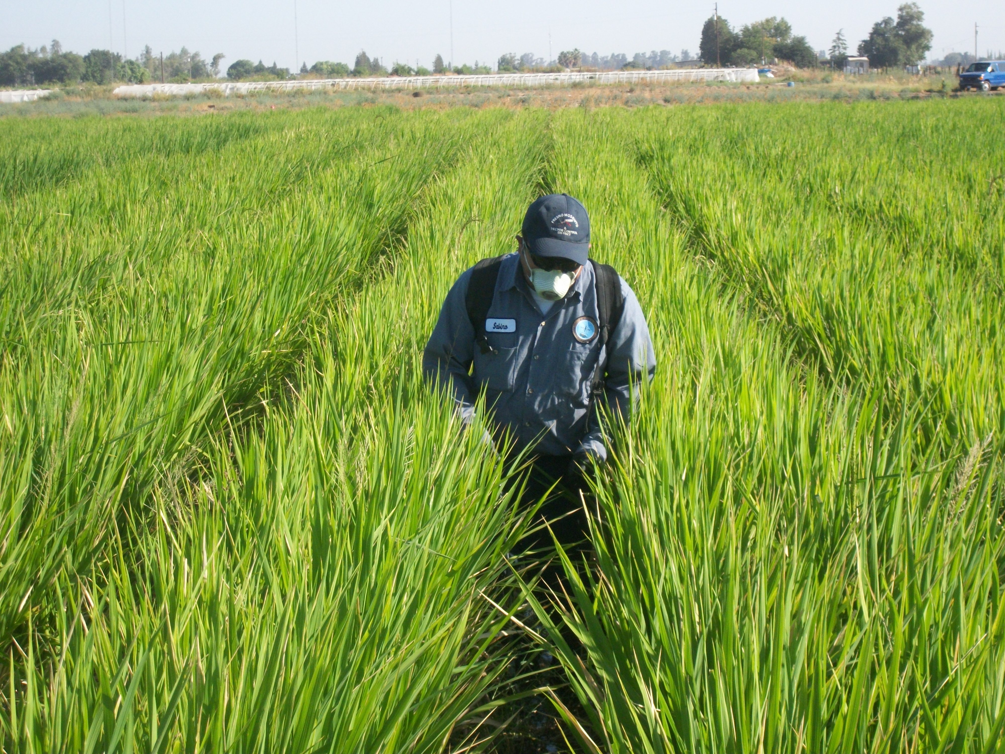 4000x3000 Fresno Mosquito And Vector Control District