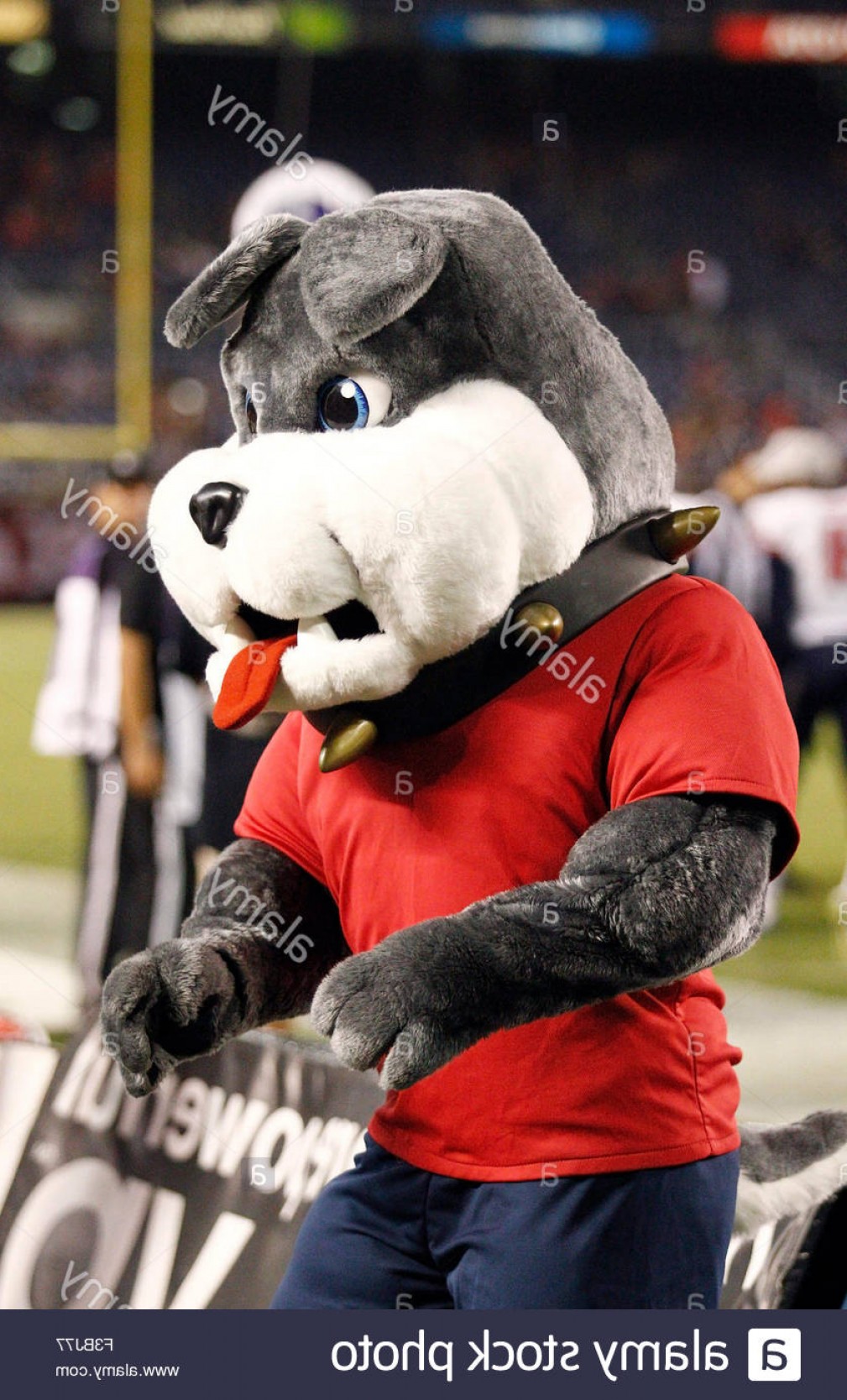 1009x1668 Fresno State Bulldog Head Vector Catchsplace