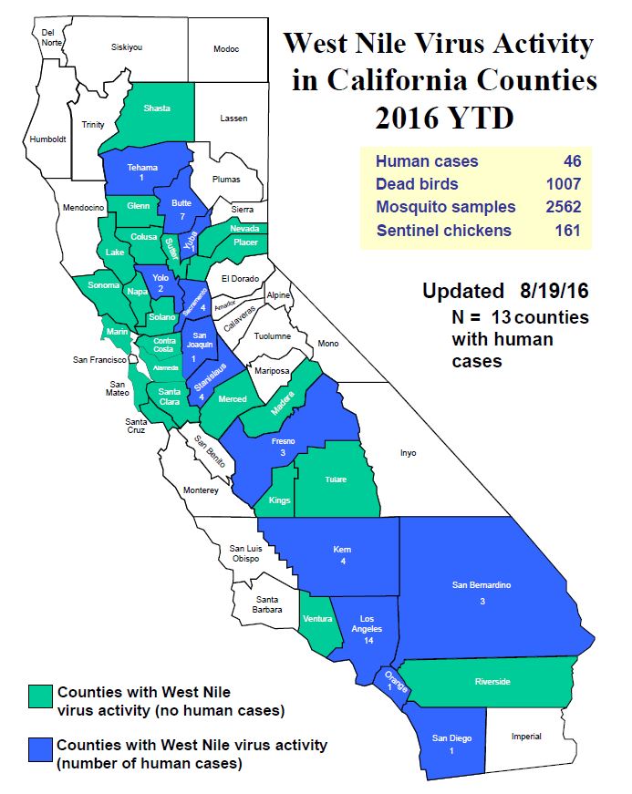 693x871 Mosquito Abatement Vector Control