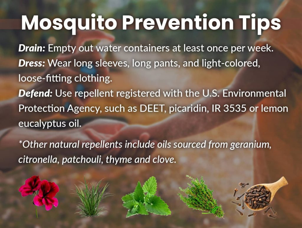 1024x774 Mosquitoes Collected In Fresno Test Positive For West Nile Virus