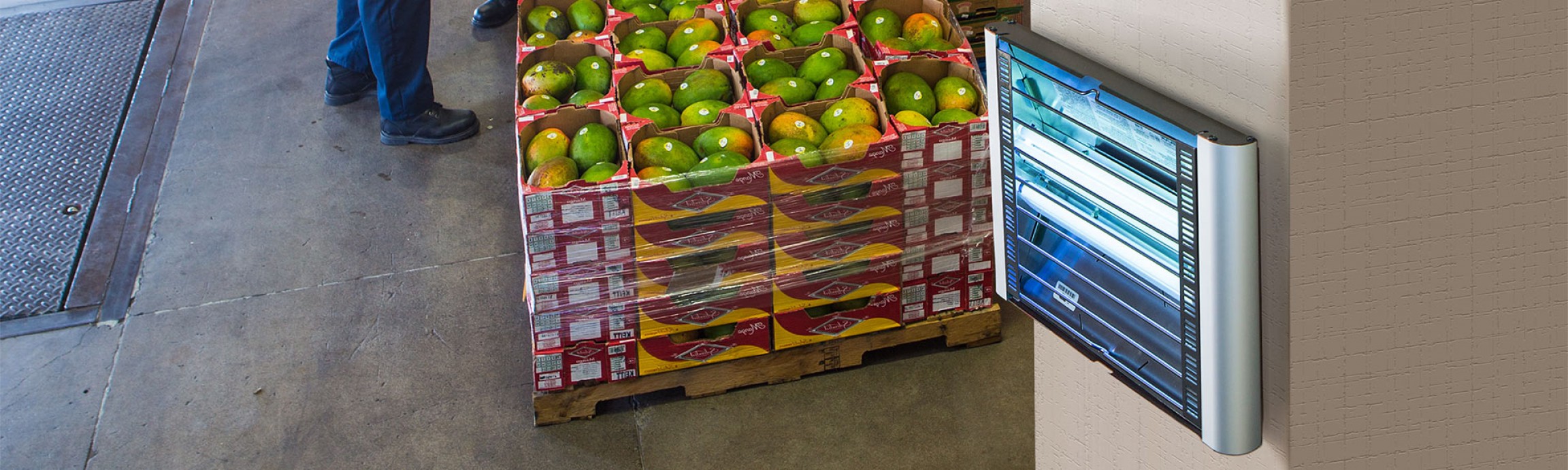 2304x691 Vector Systems Fly Trap Cqrecords