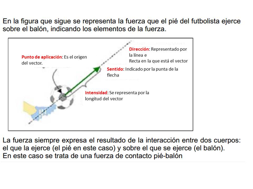 960x720 Los Ii Lascienciasvstic