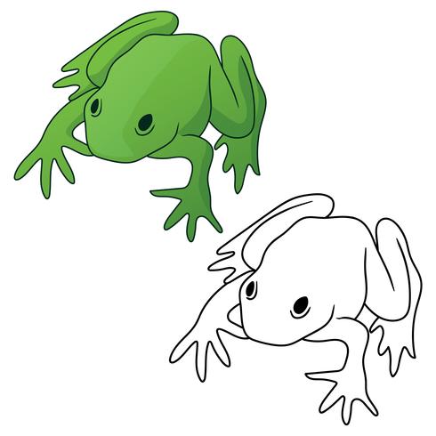 490x490 Frog In Both Full Color Green Tones And Black Outline Version