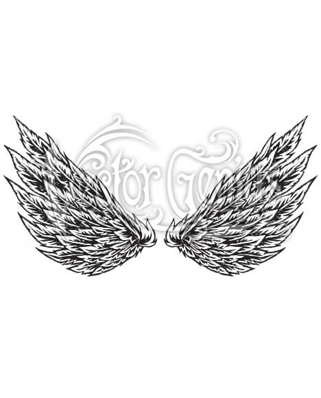 Detailed Compact Wings Vector Genius 468x580 Detailed Compact Wings Vector Genius