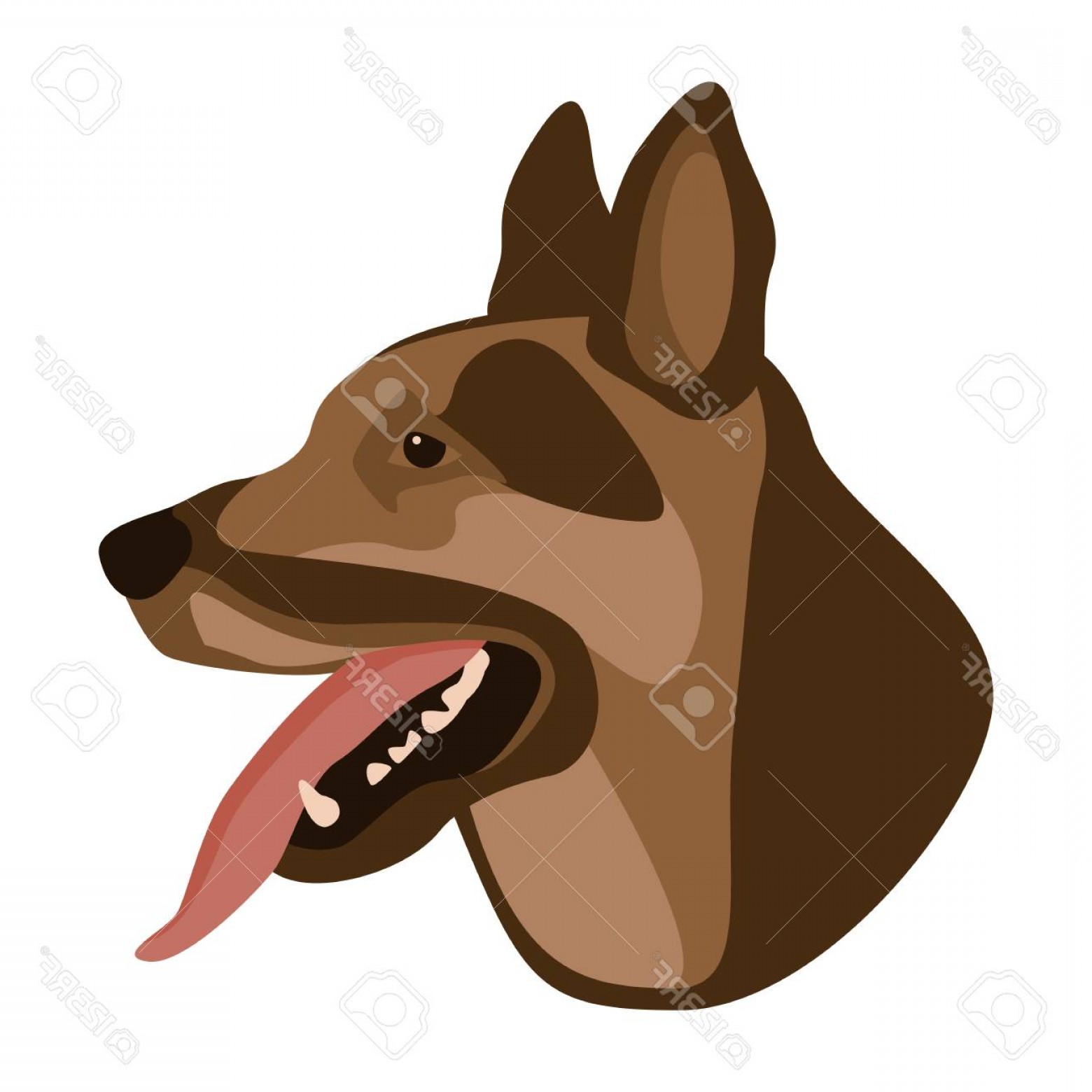 1560x1560 German Shepherd Face Vector Hoodamath