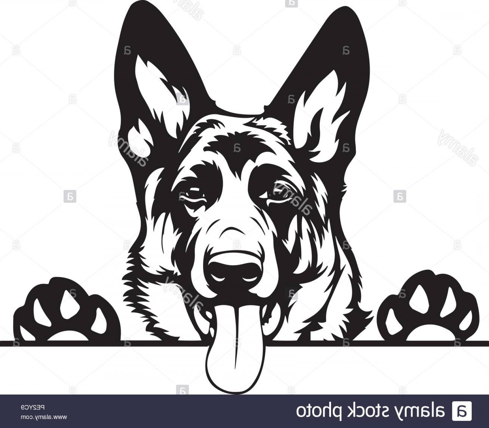 1560x1365 German Shepherd Vector Art Lamaison