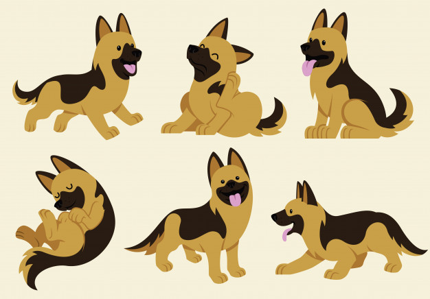 626x436 German Shepherd Dog Set Vector Premium Download