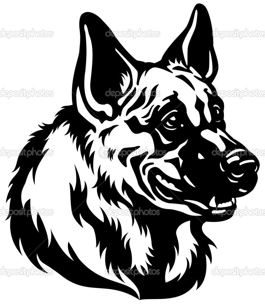 891x1024 For German Shepherd Ownersfans German