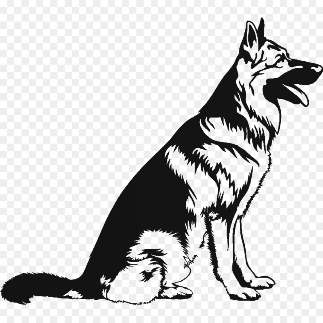 1080x1080 German Shepard Vector Logo Catamart