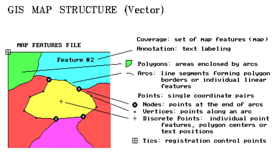 difference between a vector and raster in gis