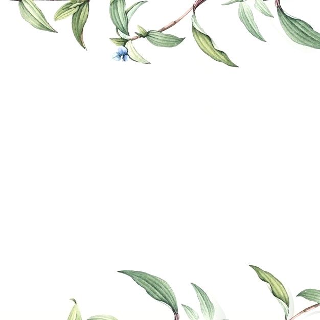 626x626 Botanical Design