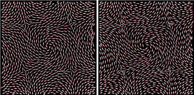 Our Method Used For Vector Field Visualization We Can Generate 667x328 Our Method Used For Vector Field Visualization We Can Generate