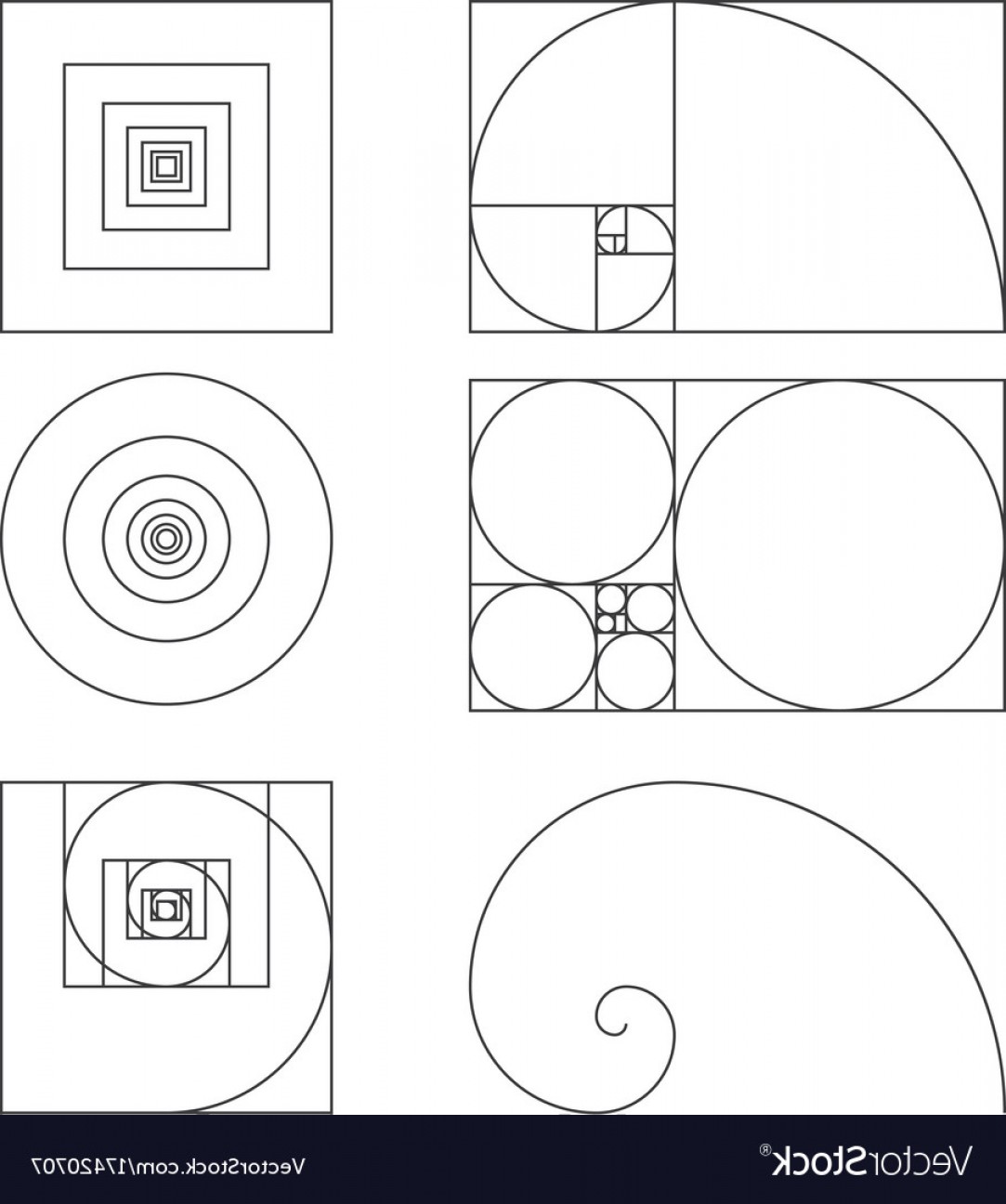 1083x1296 Golden Ratio Template Fibonacci Vector Catchsplace