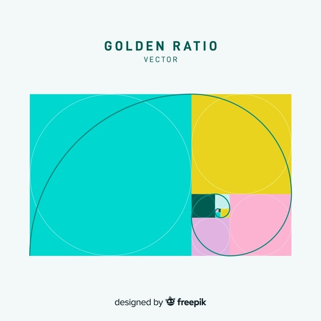 626x626 Golden Ratio Template Vector Free Download
