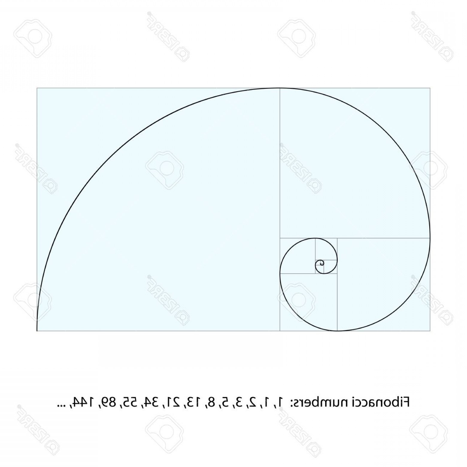 1560x1560 Fibonacci Spiral Vector Catchsplace