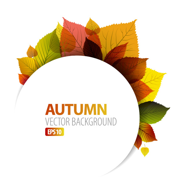 Design Graphics Autumn Leaf 600x594 Design Graphics Autumn Leaf