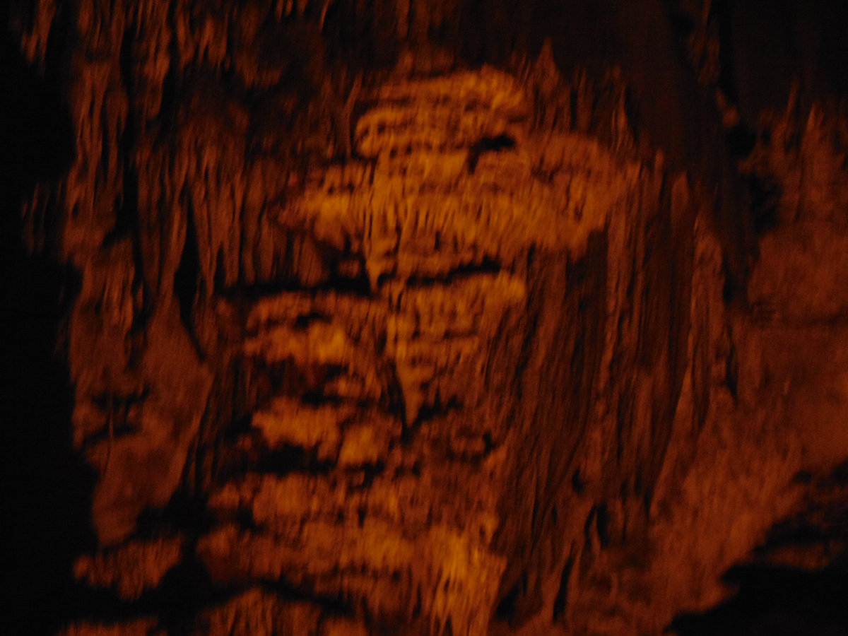 1200x900 Vector Graphics