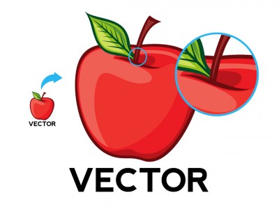 400x300 Explained Bitmap Versus Vector Graphics Tips