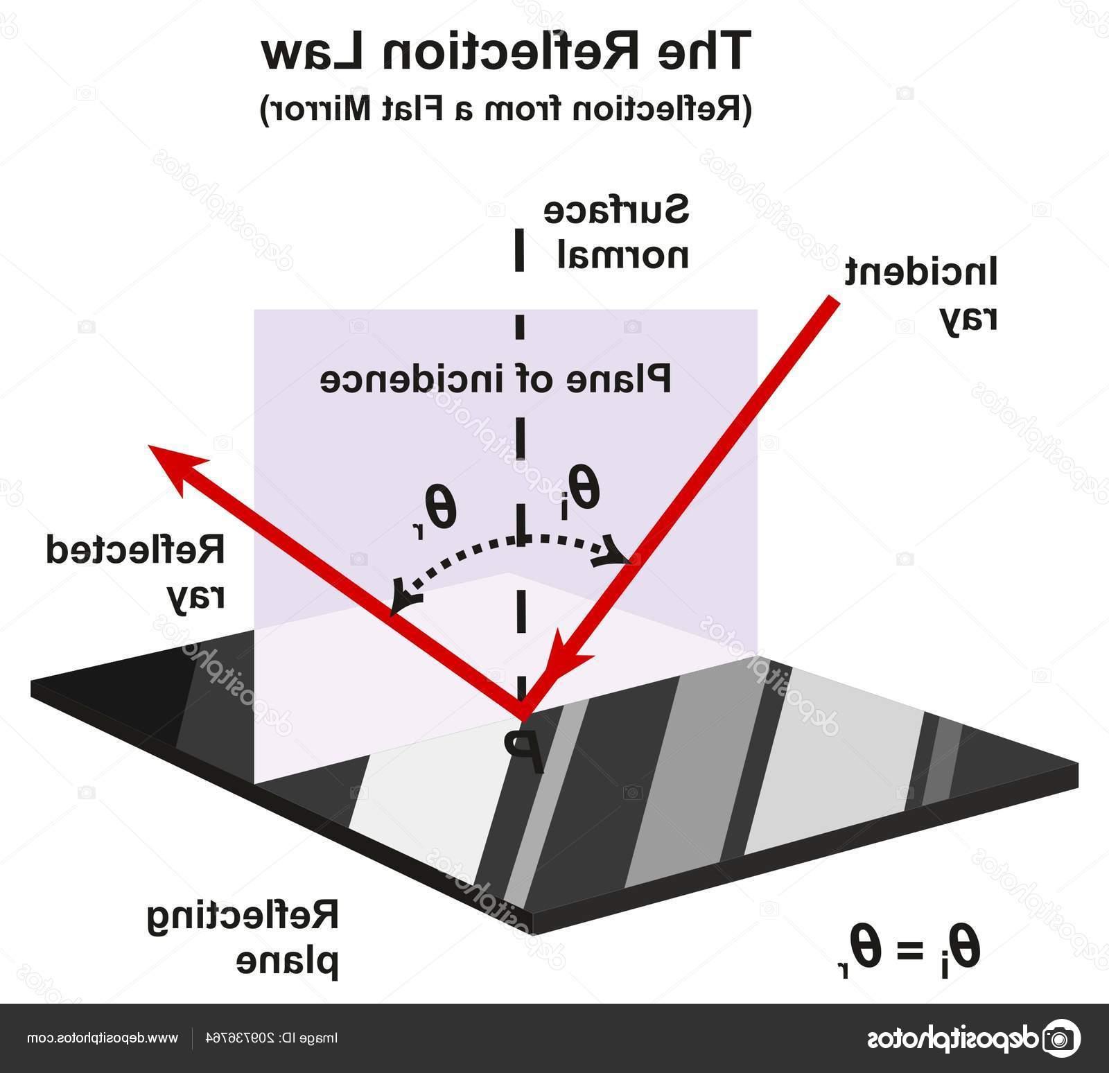 1600x1548 Top Vector Diagrams Examples Vector Design Free Vector Art