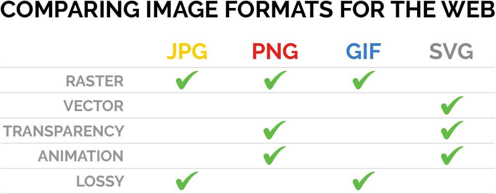 1000x391 Raster Vs Vector