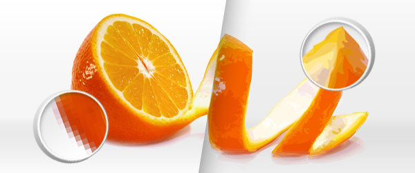 600x250 Pixel Graphics Vs Vector Graphics