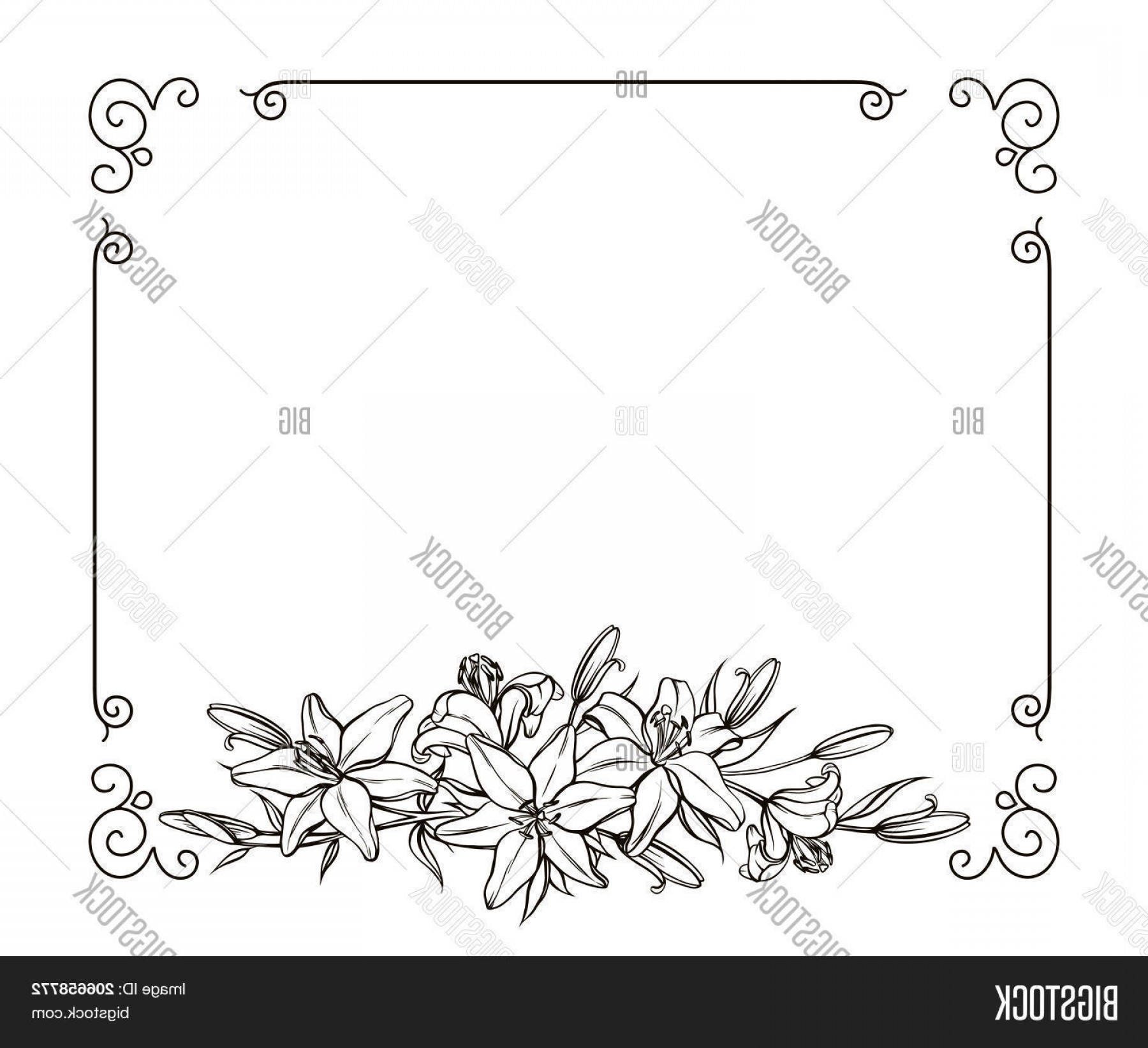 Stock Vector Blank Floral Frame Border Vector Swirl Border 1800x1644 Stock Vector Blank Floral Frame Border Vector Swirl Border