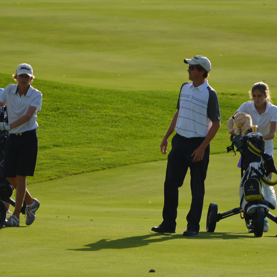 1160x1160 Basics Of Reading Greens