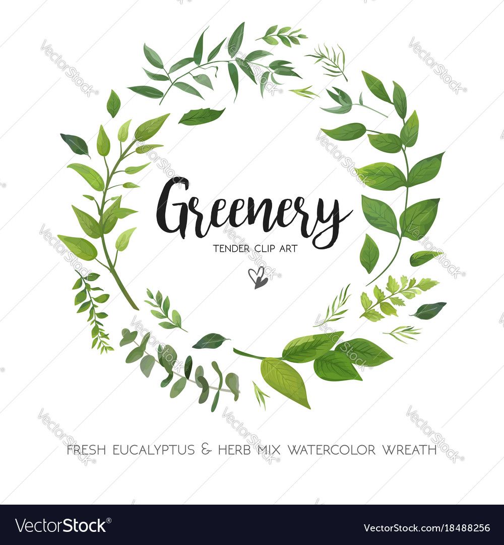 1000x1080 Invitations Garden Illustration, Floral