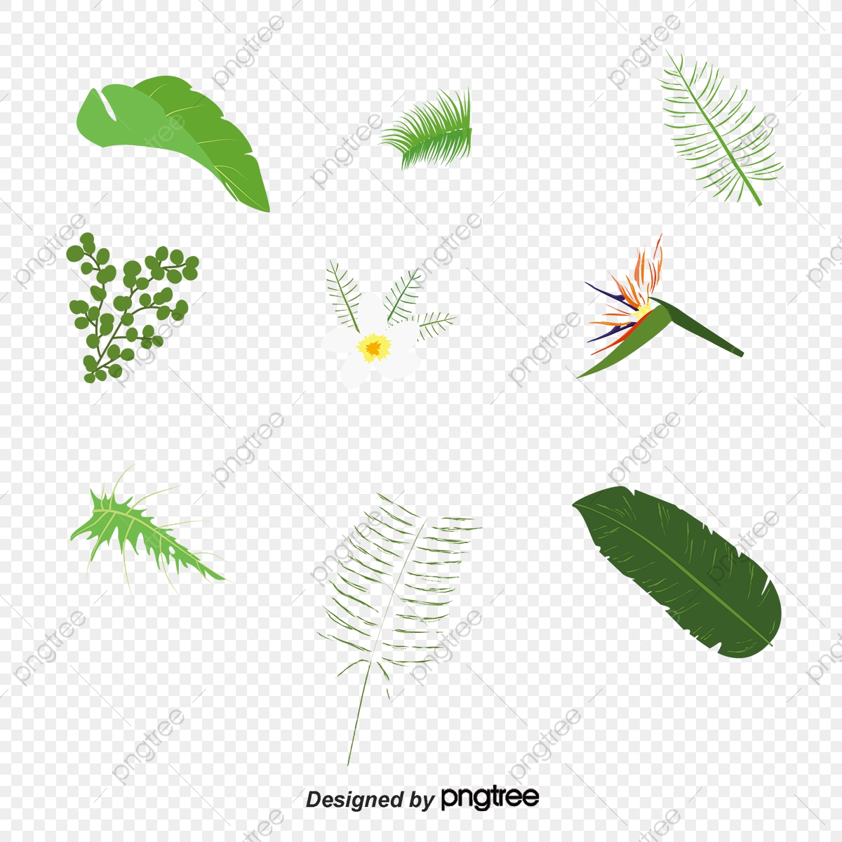 1200x1200 Vector Greenery, Vector, Green Leaf, Fresh Png And Vector
