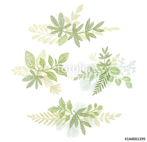 500x484 Green Bouquets Hand Drawn Composition Vector Greenery Branches