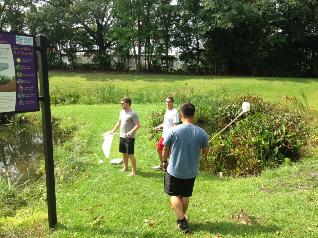 1024x768 Students Collecting Insects For Vectors Class Ecu Environmental