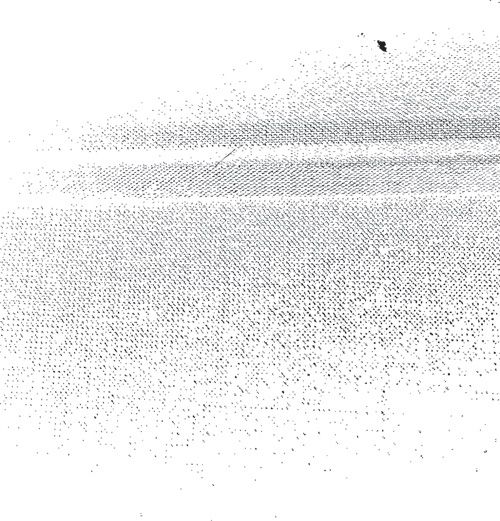 Free Vectors 500x521 Free Vectors