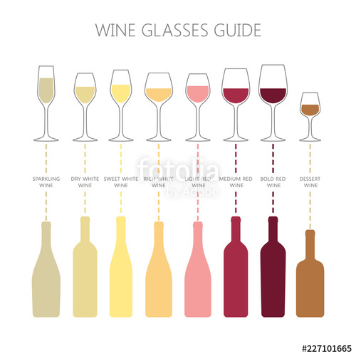 500x500 Wine Glasses And Bottles Guide Infographic Colorful Vector Wine