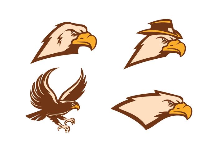 700x490 Hawk Free Vector Art