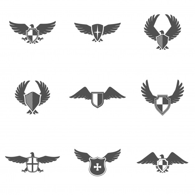 626x626 Hawk Vectors, Photos And Free Download