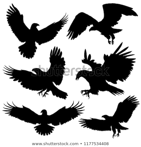 450x470 Huge Collection Of 'hawk Silhouette Vector' Download More Than