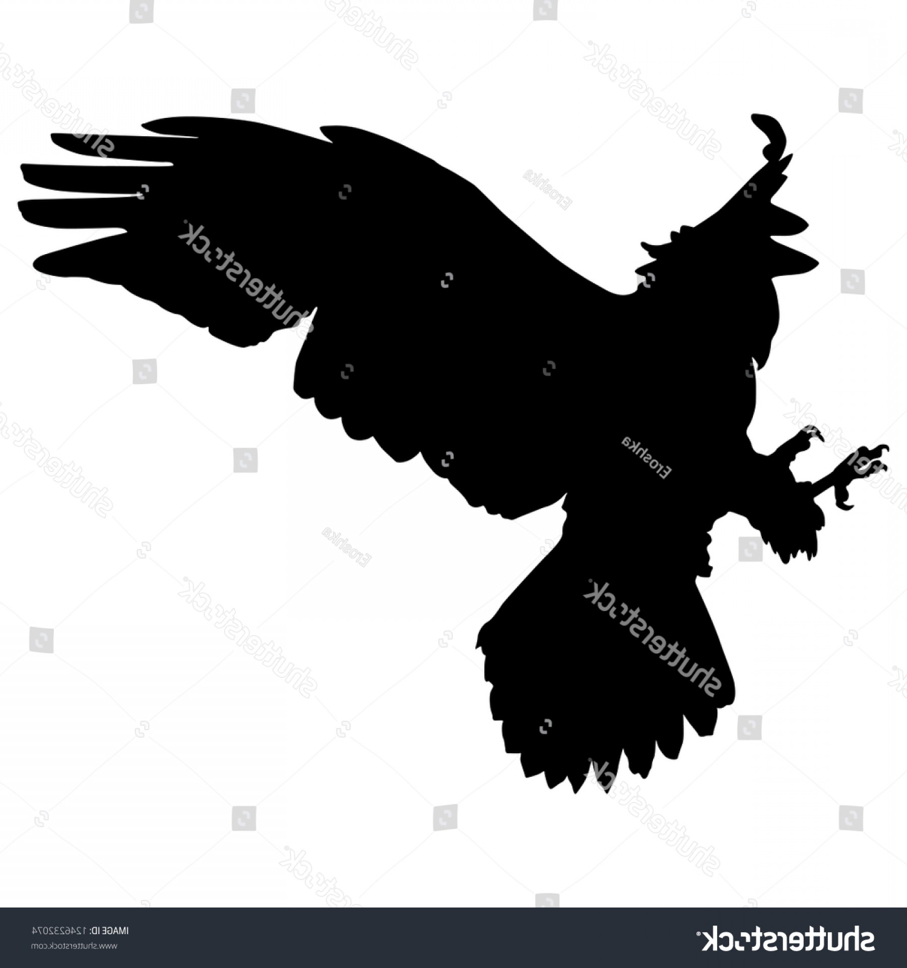 1800x1920 Isolated Vector Illustration Silhouette Flying Hawk Handandbeak
