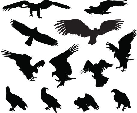 457x376 Silhouette Of A Tribal Hawk Tattoo Clip Art, Vector Images