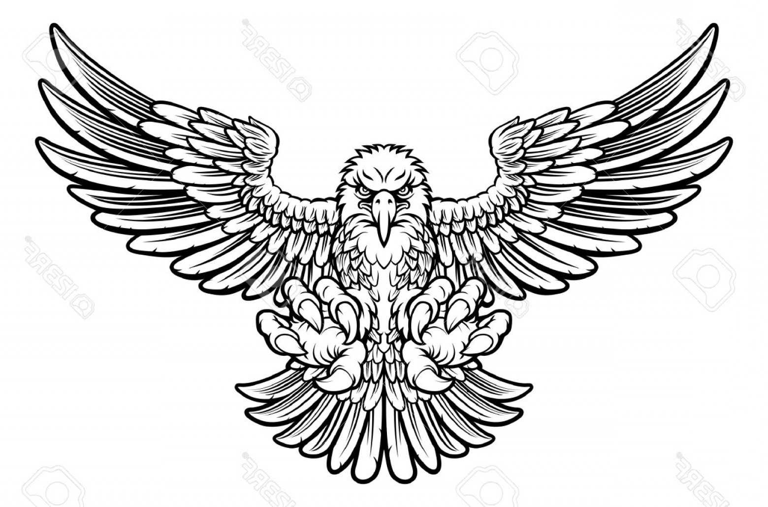 1560x1029 Talon Flying Hawk Vector Handandbeak