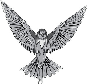 300x289 Vector Hawk Royalty Free Stock Image