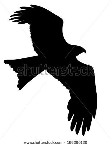 357x470 Vector Silhouette Of The Bird Of Prey In Flight