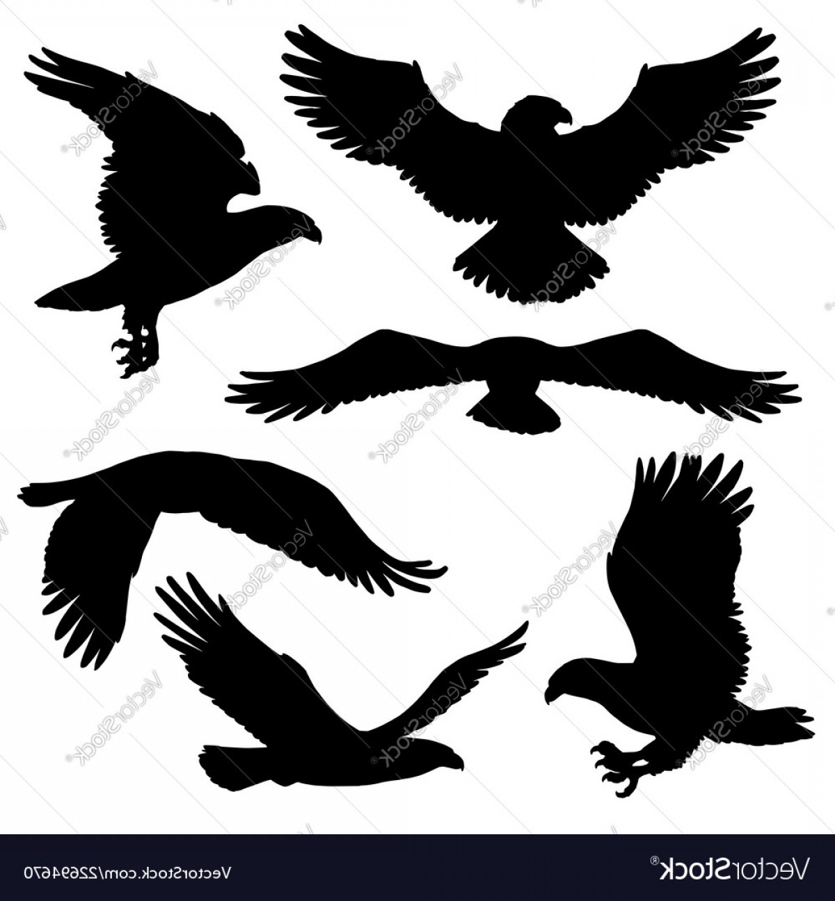 1200x1296 Eagle Or Hawk Silhouettes With Broad Wings Vector Geekchicpro