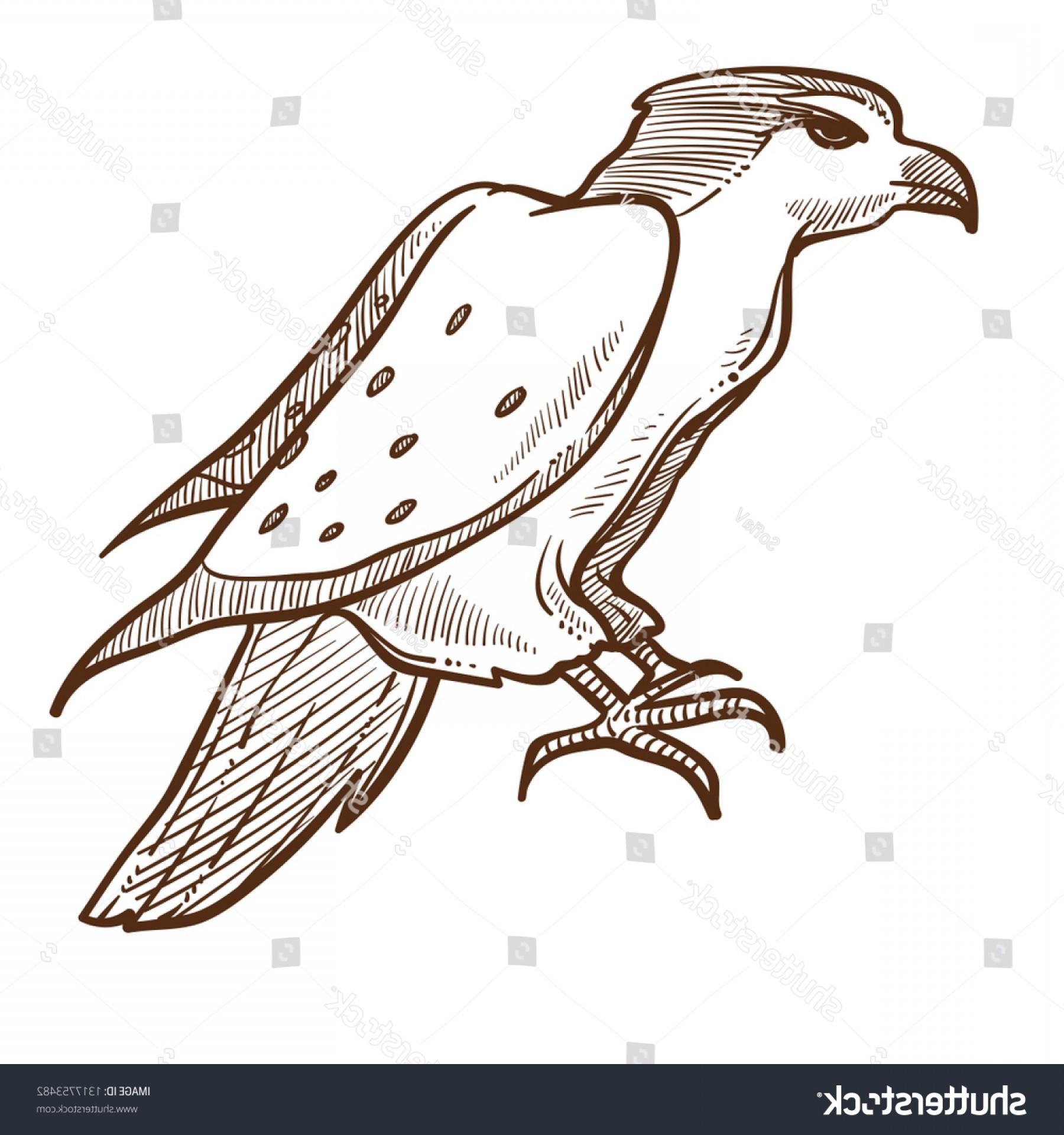 1800x1920 Hawk Claws Vector Hoodamathrun