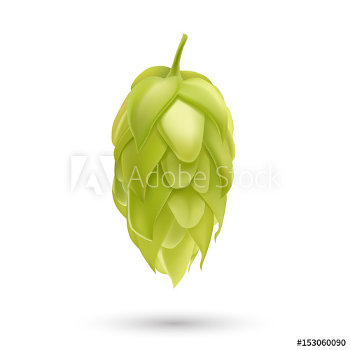 Hop Plant Vector Icon Isolated On White Background Hops Beer 500x500 Hop Plant Vector Icon Isolated On White Background Hops Beer
