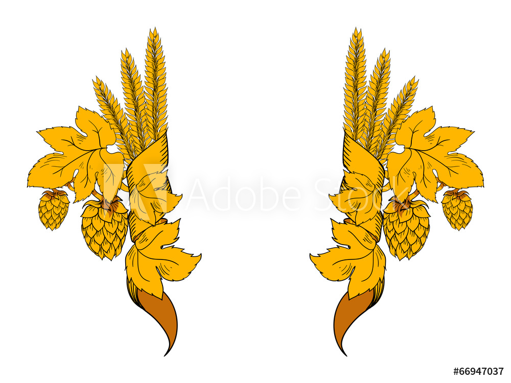 Photo Art Print Vector Hops Europosters 1000x750 Photo Art Print Vector Hops Europosters