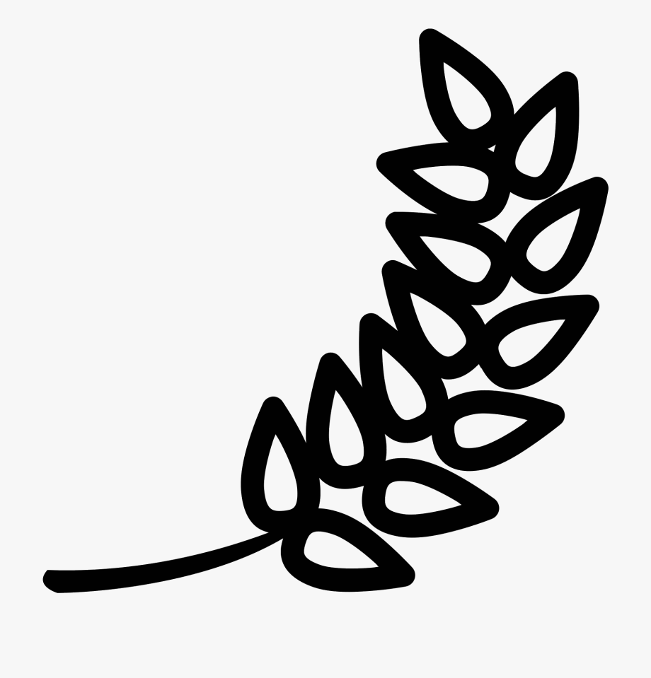 Vector Hops Barley 920x959 Vector Hops Barley