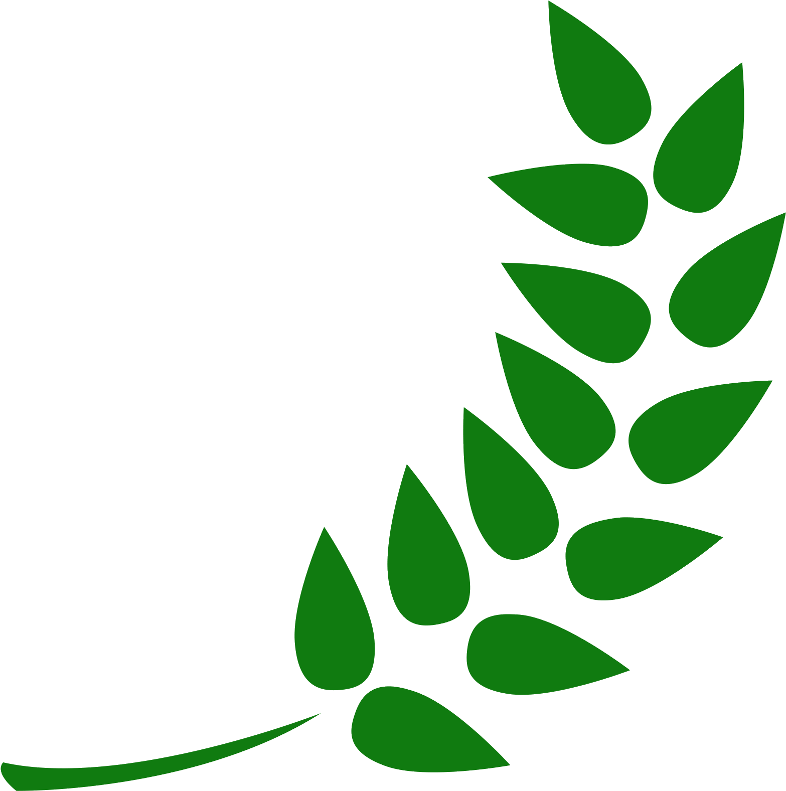 Vector Hops Barley Clip Art Library Library 1567x1577 Vector Hops Barley Clip Art Library Library