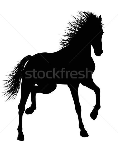 484x600 Vector Horse Vector Illustration Vadimmmus
