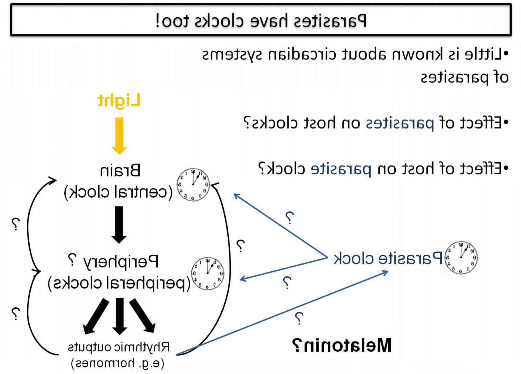 1771x1272 Host Parasite Vector Savoyuptown